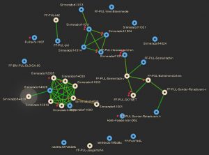 Mashviewer am 19.06.2016